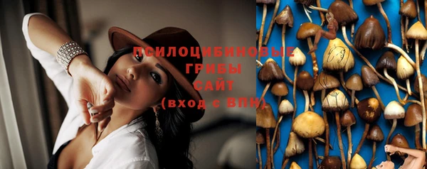 дживик Сясьстрой