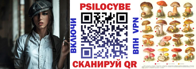 Галлюциногенные грибы Psilocybine cubensis  маркетплейс официальный сайт  Волгореченск 